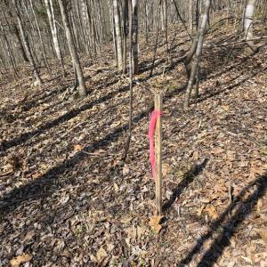 Photo #15 of S FT VALLEY RD, MADISON, VA 10.3 acres