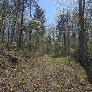 Photo #16 of S FT VALLEY RD, MADISON, VA 10.3 acres