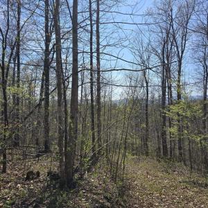 Photo #11 of S FT VALLEY RD, MADISON, VA 10.3 acres