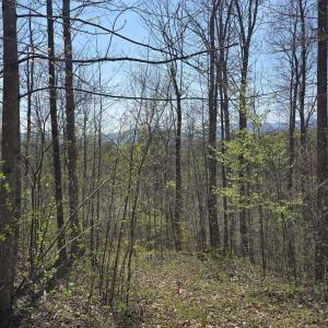 Photo #10 of S FT VALLEY RD, MADISON, VA 10.3 acres