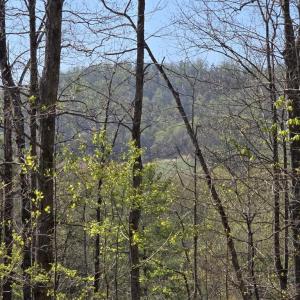 Photo #2 of S FT VALLEY RD, MADISON, VA 10.3 acres