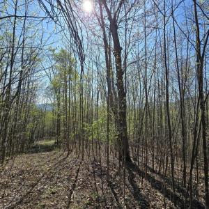 Photo #12 of S FT VALLEY RD, MADISON, VA 10.3 acres