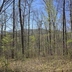 Photo #4 of S FT VALLEY RD, MADISON, VA 10.3 acres