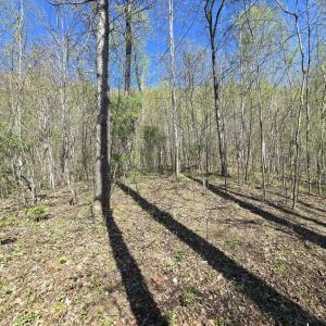 Photo #14 of S FT VALLEY RD, MADISON, VA 10.3 acres