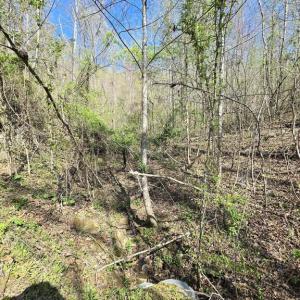 Photo #9 of S FT VALLEY RD, MADISON, VA 10.3 acres