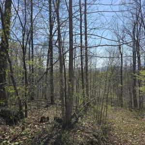 Photo #2 of S FT VALLEY RD, MADISON, VA 10.3 acres