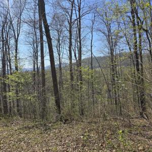 Photo #1 of S FT VALLEY RD, MADISON, VA 10.3 acres