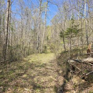 Photo #5 of S FT VALLEY RD, MADISON, VA 10.0 acres