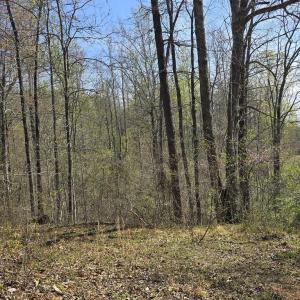 Photo #8 of S FT VALLEY RD, MADISON, VA 10.0 acres