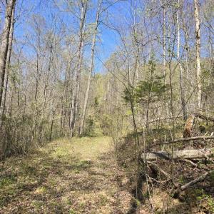 Photo #13 of S FT VALLEY RD, MADISON, VA 10.0 acres