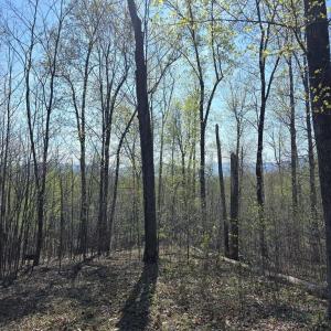 Photo #1 of S FT VALLEY RD, MADISON, VA 10.0 acres