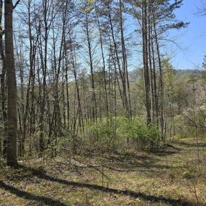 Photo #15 of S FT VALLEY RD, MADISON, VA 10.0 acres