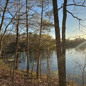 Photo #3 of 6302 BELMONT RD, MINERAL, VA 1.4 acres