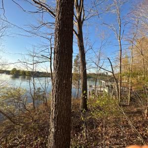 Photo #4 of 6302 BELMONT RD, MINERAL, VA 1.4 acres