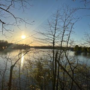 Photo #5 of 6302 BELMONT RD, MINERAL, VA 1.4 acres