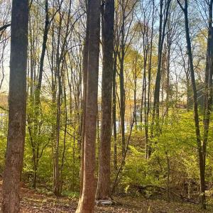 Photo #6 of 6302 BELMONT RD, MINERAL, VA 1.4 acres