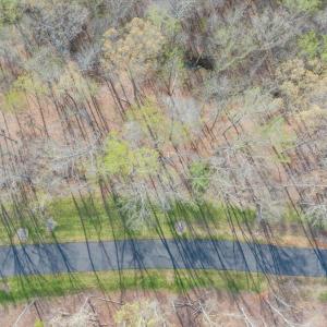 008-DJI_20240413094613_0006_D_MIB