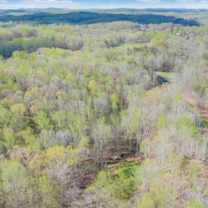 13-DJI_20240413094931_0013_D_MIB