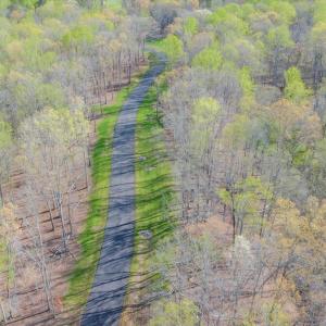 019-DJI_20240413095146_0017_D_MIB