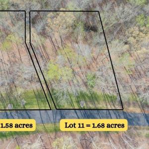 Lot 9 and 11