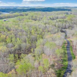 14-DJI_20240413094948_0014_D_MIB