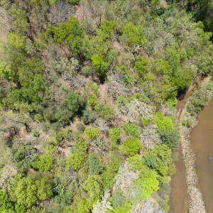 129-Lot 44 Lakewatch Cir 17