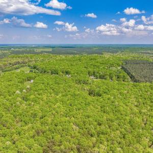 Photo #3 of 845 RACCOON RIDGE RD, SCOTTSVILLE, VA 121.3 acres