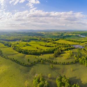 Photo #1 of 845 RACCOON RIDGE RD, SCOTTSVILLE, VA 121.3 acres