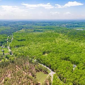 Photo #19 of 845 RACCOON RIDGE RD, SCOTTSVILLE, VA 121.3 acres