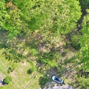 3-DJI_0300