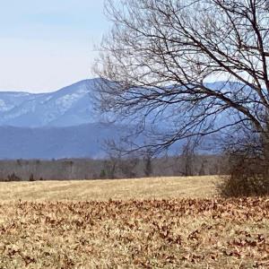 Photo #4 of KIRTLEY RESIDUE LOT, CULPEPER, VA 40.4 acres