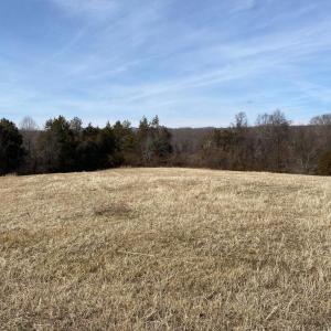 Photo #8 of KIRTLEY RESIDUE LOT, CULPEPER, VA 40.4 acres