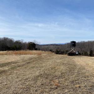 Photo #9 of KIRTLEY RESIDUE LOT, CULPEPER, VA 40.4 acres