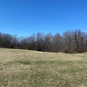 Photo #11 of KIRTLEY RESIDUE LOT, CULPEPER, VA 40.4 acres