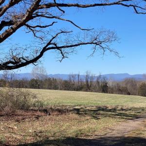 Photo #16 of KIRTLEY RESIDUE LOT, CULPEPER, VA 40.4 acres
