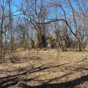 Photo #17 of KIRTLEY RESIDUE LOT, CULPEPER, VA 40.4 acres