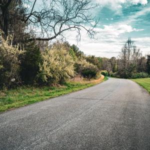 Photo #12 of RIDGEVIEW DRIVE, RUCKERSVILLE, VA 2.4 acres