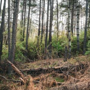 Photo #18 of RIDGEVIEW DRIVE, RUCKERSVILLE, VA 2.4 acres