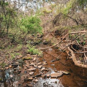 Photo #20 of RIDGEVIEW DRIVE, RUCKERSVILLE, VA 2.4 acres