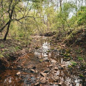 Photo #21 of RIDGEVIEW DRIVE, RUCKERSVILLE, VA 2.4 acres