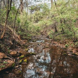 Photo #22 of RIDGEVIEW DRIVE, RUCKERSVILLE, VA 2.4 acres