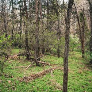 Photo #15 of RIDGEVIEW DRIVE, RUCKERSVILLE, VA 2.4 acres