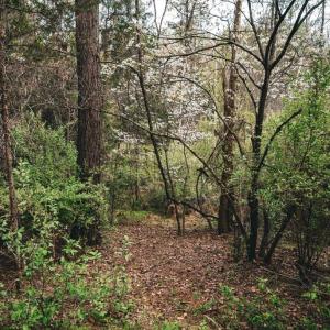 Photo #17 of RIDGEVIEW DRIVE, RUCKERSVILLE, VA 2.4 acres