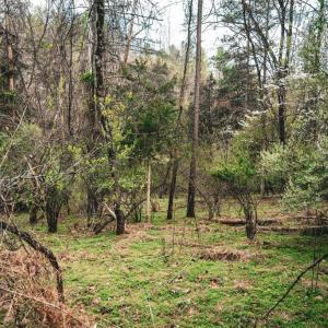 Photo #16 of RIDGEVIEW DRIVE, RUCKERSVILLE, VA 2.4 acres