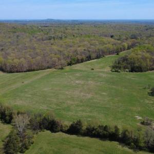 Photo #7 of KIRTLEY TRAIL LOT 2, CULPEPER, VA 40.4 acres
