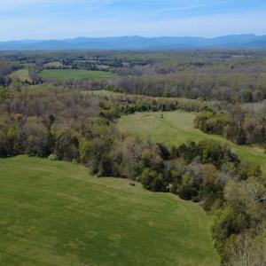 Photo #10 of KIRTLEY TRAIL LOT 2, CULPEPER, VA 40.4 acres