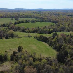 Photo #11 of KIRTLEY TRAIL LOT 2, CULPEPER, VA 40.4 acres