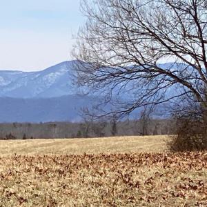 Photo #5 of KIRTLEY TRAIL LOT 2, CULPEPER, VA 40.4 acres