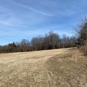 Photo #14 of KIRTLEY TRAIL LOT 2, CULPEPER, VA 40.4 acres