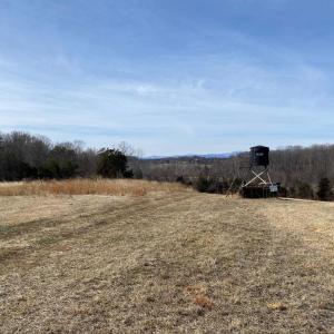 Photo #15 of KIRTLEY TRAIL LOT 2, CULPEPER, VA 40.4 acres